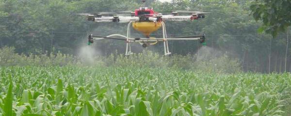 多菌靈的作用及正確施用方法